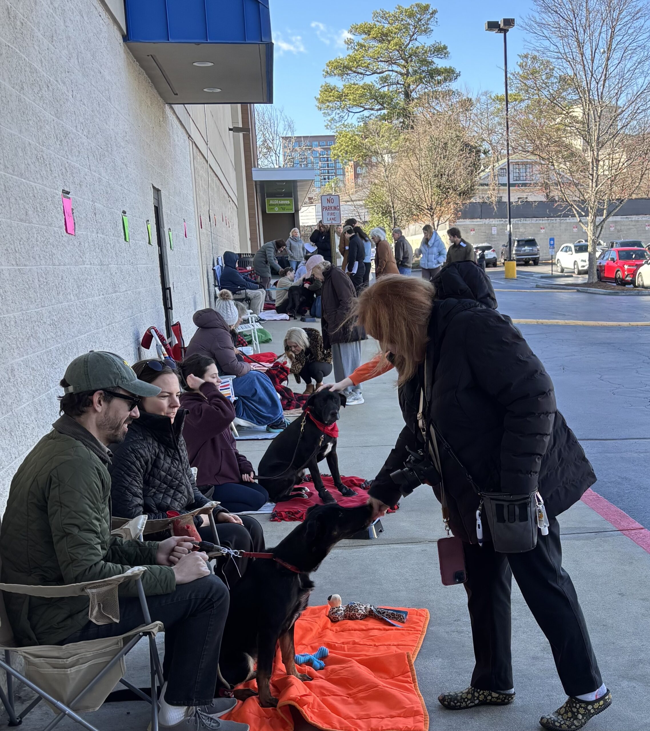 Volunteers at an adoption day