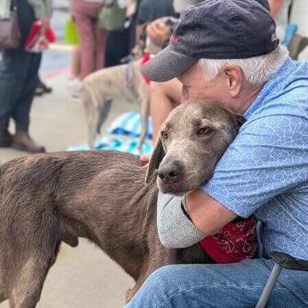 Adoption Day